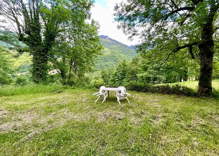 Avec Grand Espace Appartement *